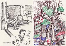 10 and 12 February - A difficult profile, a cluttered allotment
